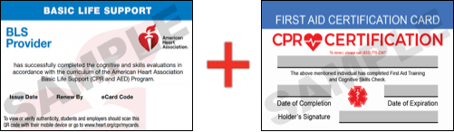 Sample American Heart Association AHA BLS CPR Card Certificaiton and First Aid Certification Card from CPR Certification Atlanta