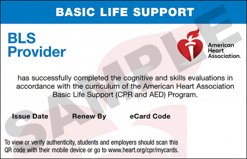 CPR Certification Atlanta Top Rated AHA BLS CPR Classes